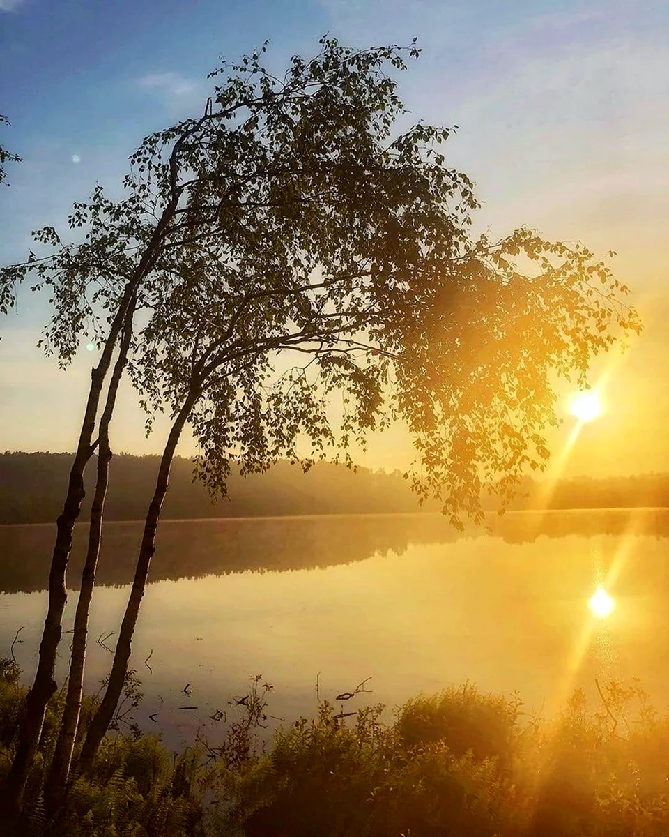 Прекрасного утра