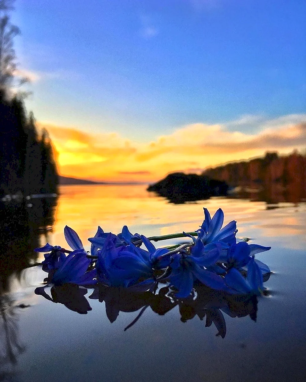 Прекрасного весеннего вечера