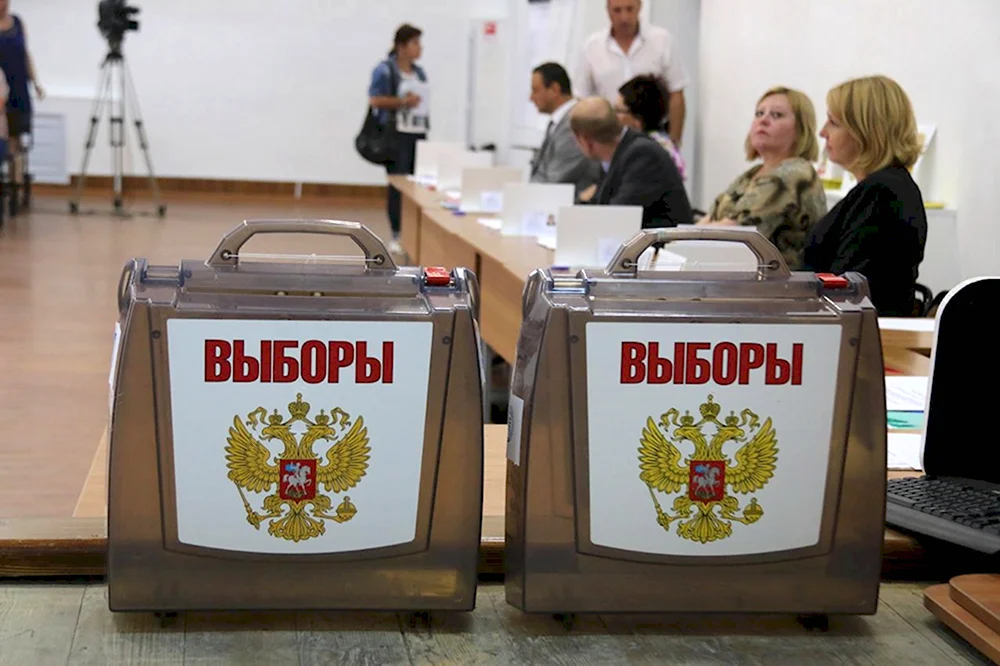 Прямые выборы