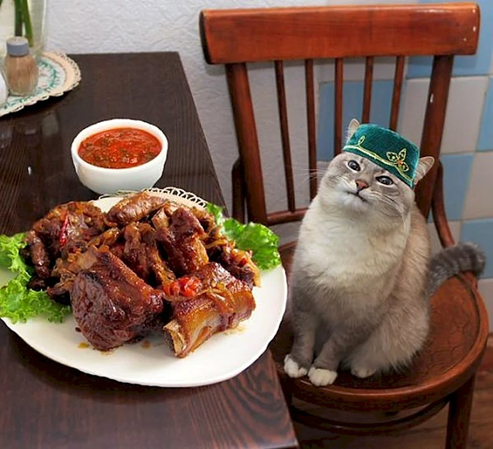 Приятного аппетита кот