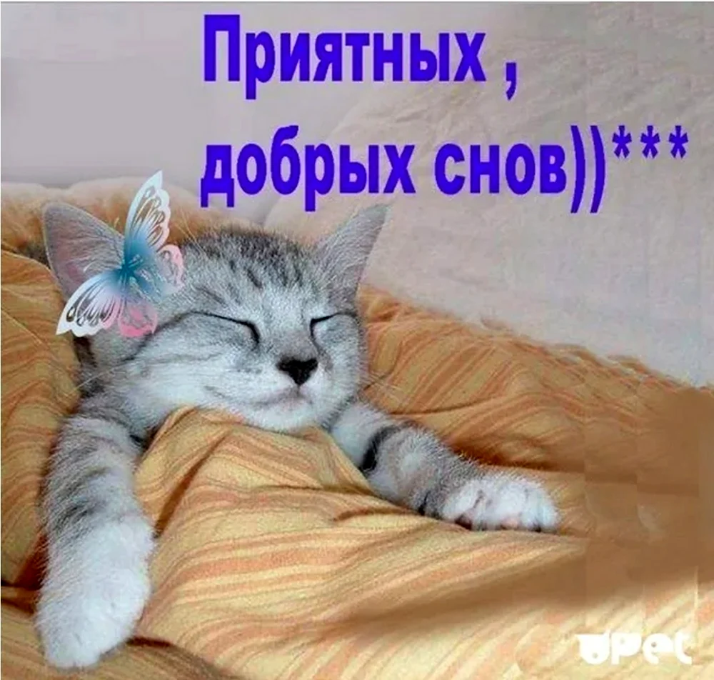 Приятных снов