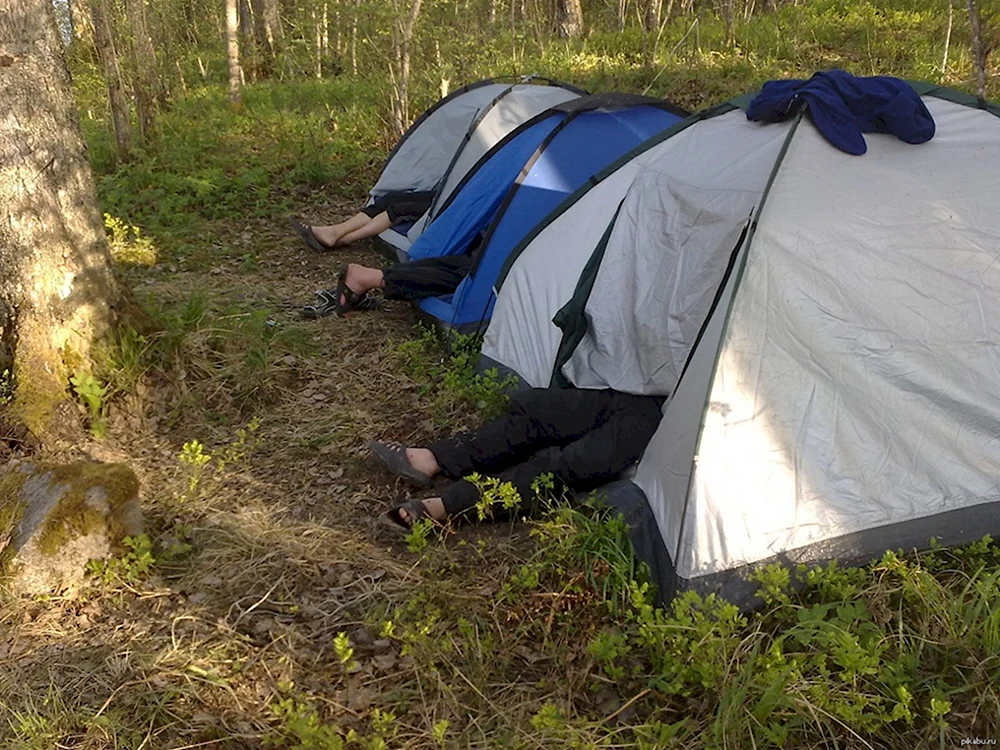 Прикольные палатки