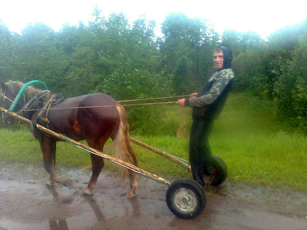 Приколы из деревни