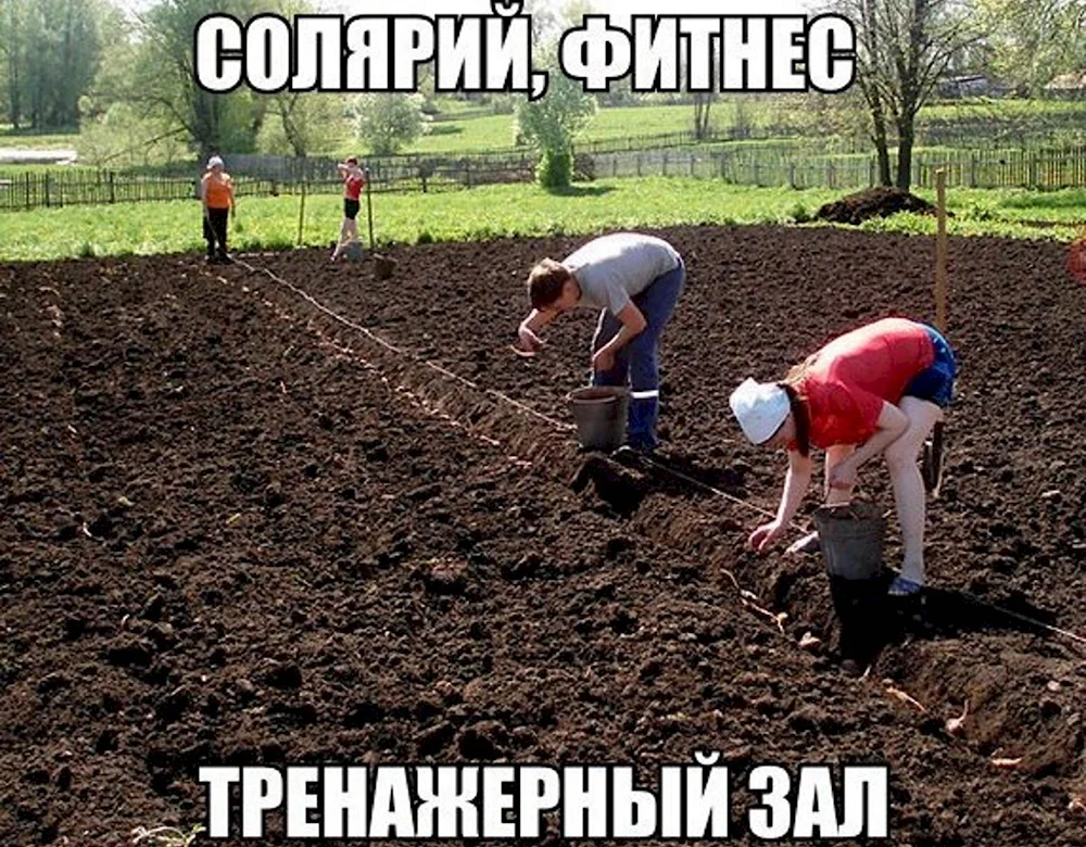 Приколы про дачу