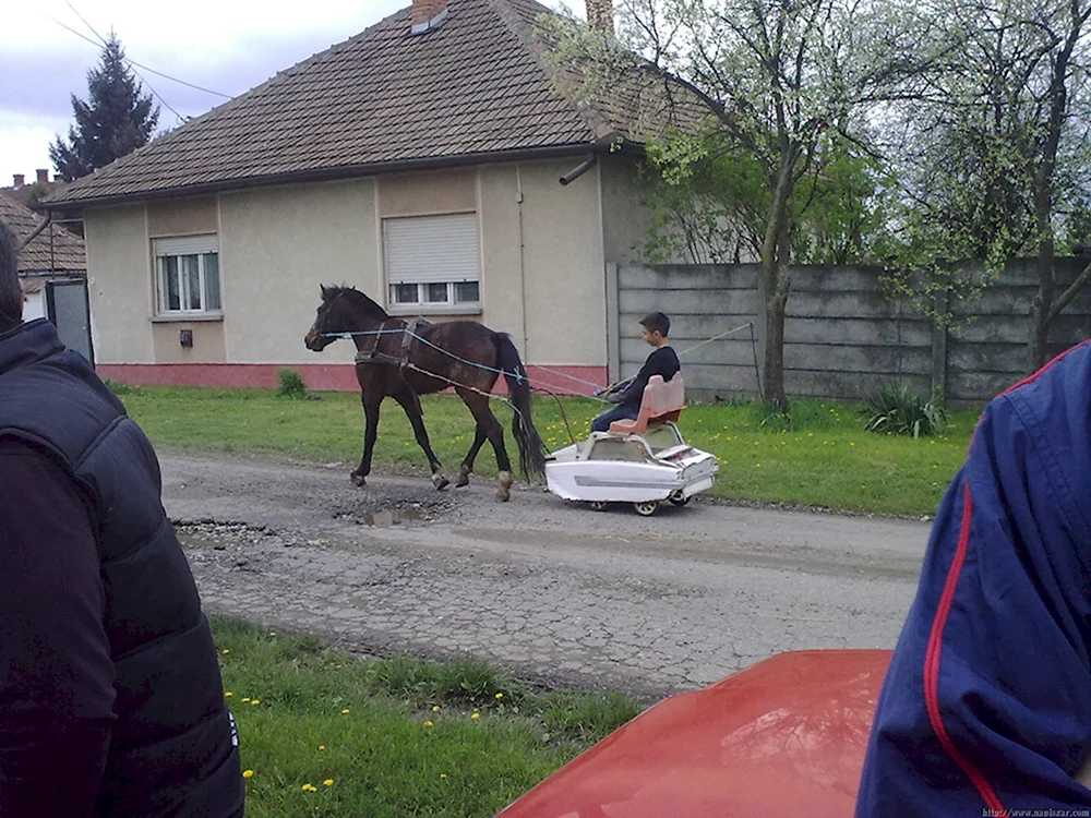 Приколы про деревню