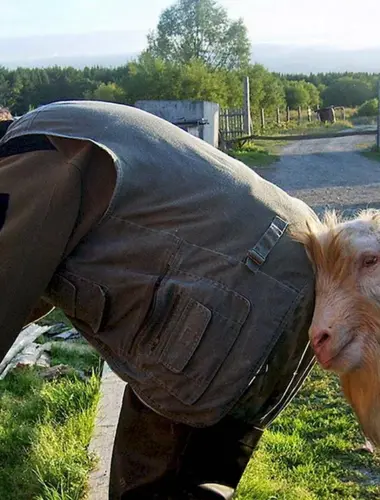 Приколы про деревню