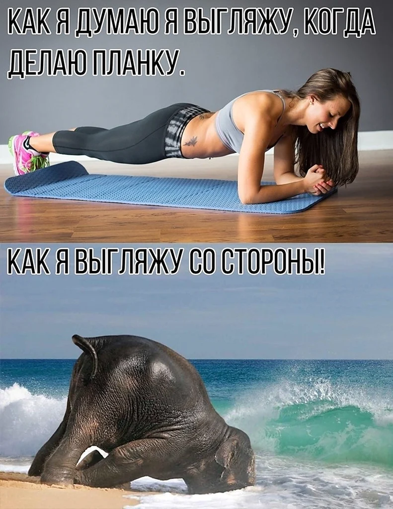 Приколы про планку