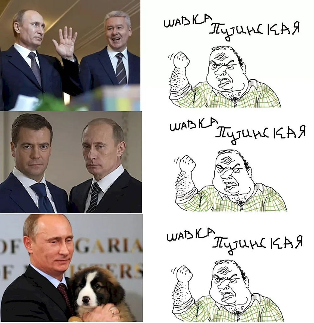 Приколы про Путина