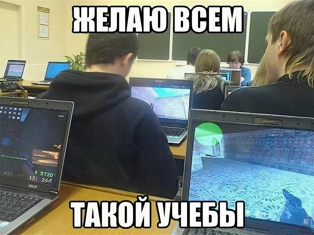 Приколы про учебу