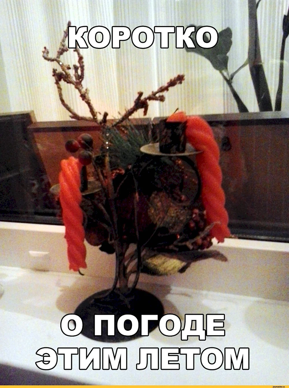Приколы про жару