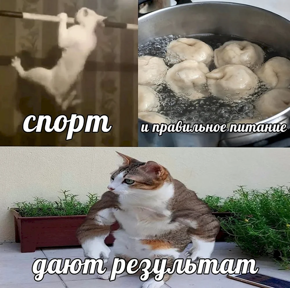 Приколы смешные до слез