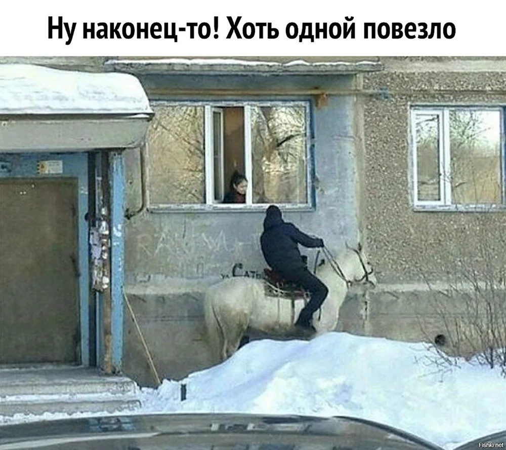 Принц на белом коне под окном