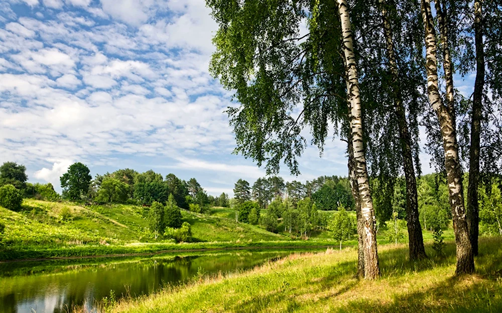 Руски лета. Брянск река Березка. Родные просторы Пушгоры панорама. Природа деревня речка Березки. Пушгоры береза.