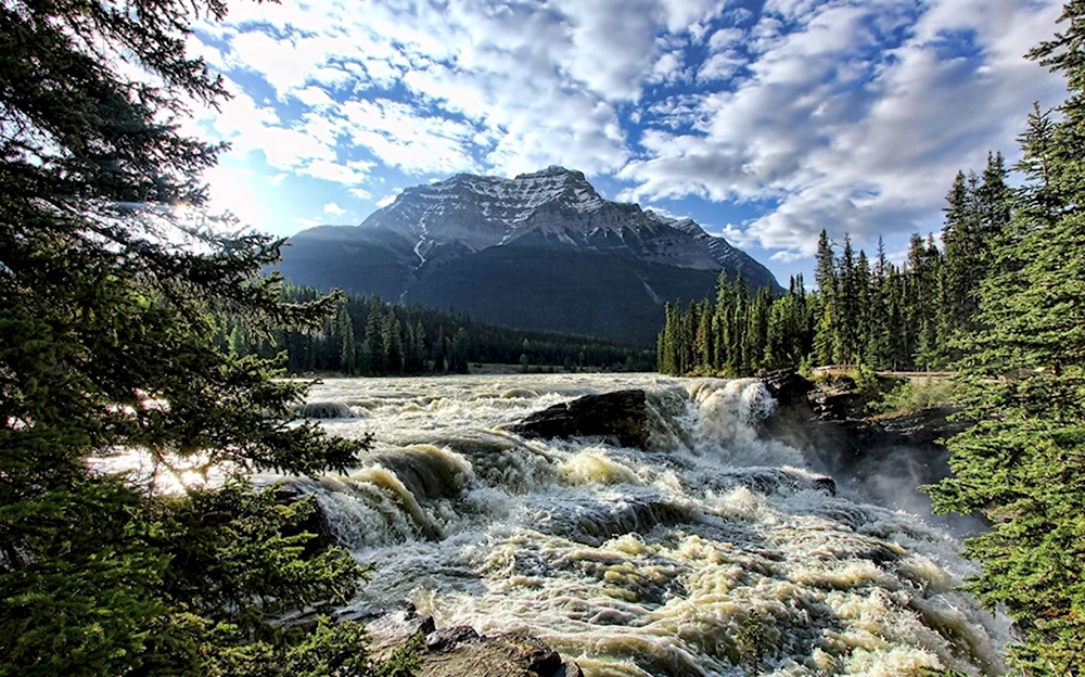 Природа лес река горы водопад