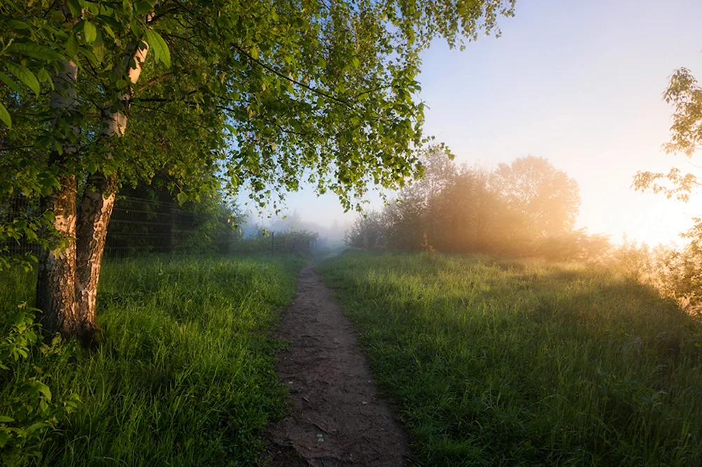 Природа летом рассвет