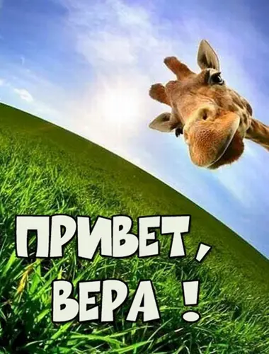 Привет Алексей