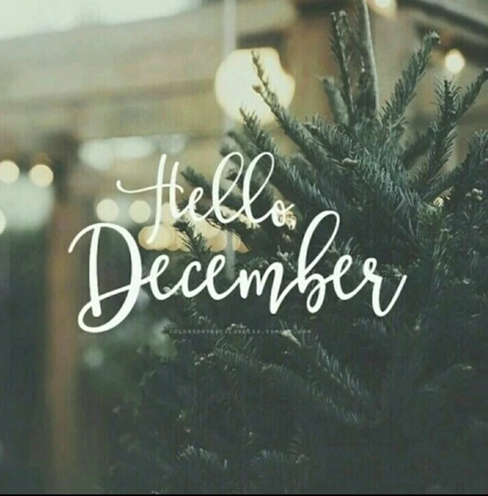 Привет декабрь