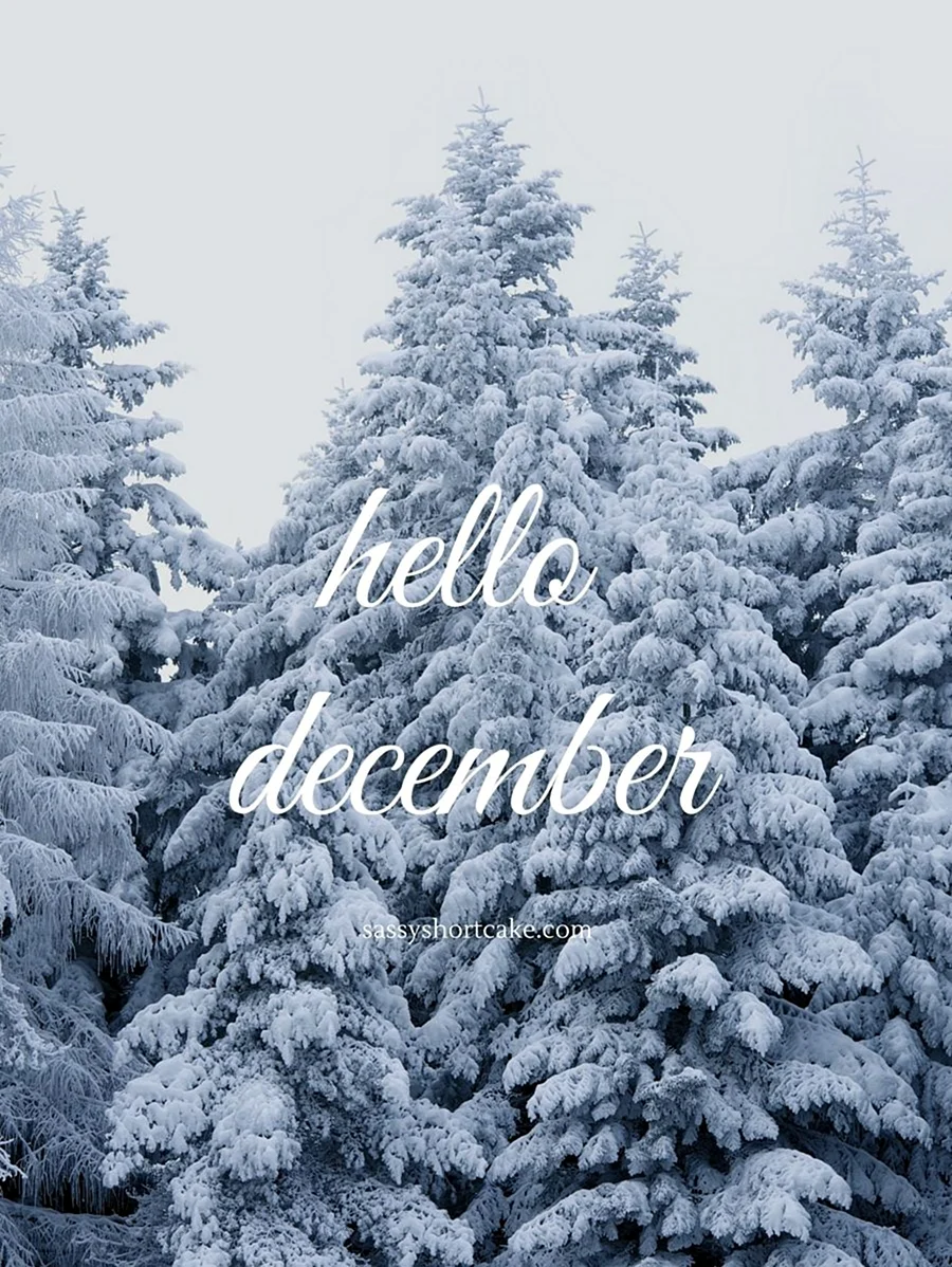 Привет декабрь