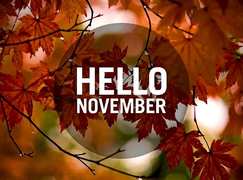 Привет ноябрь