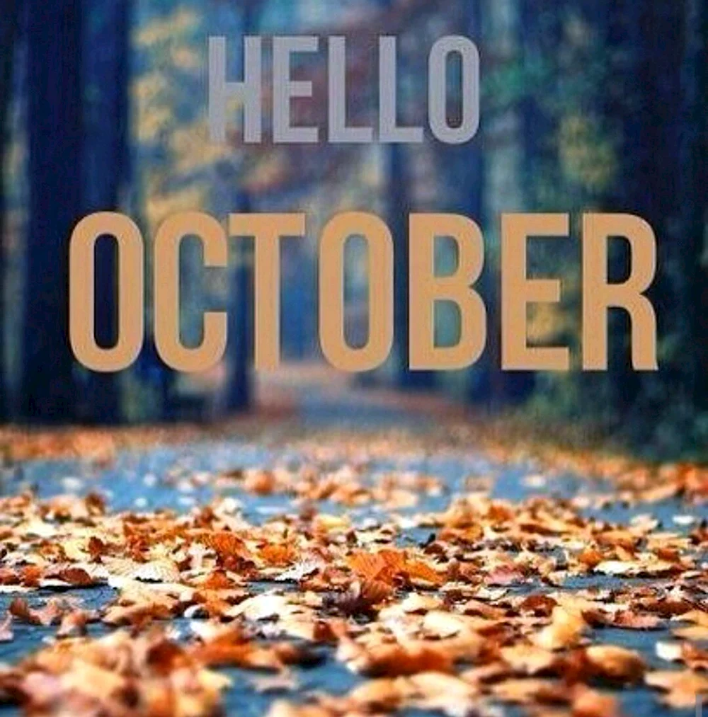 Привет октябрь