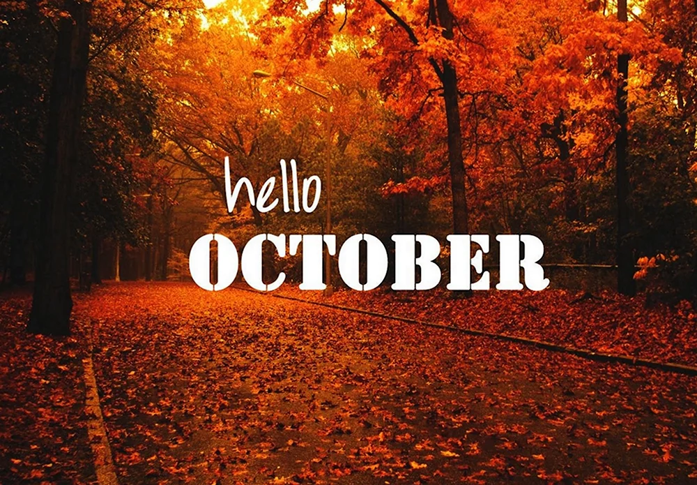 Привет октябрь