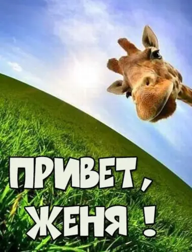 Привет Женя