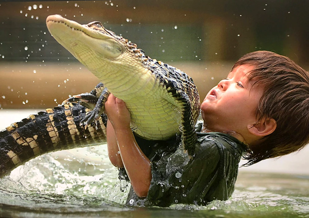 Про крокодилов для детей