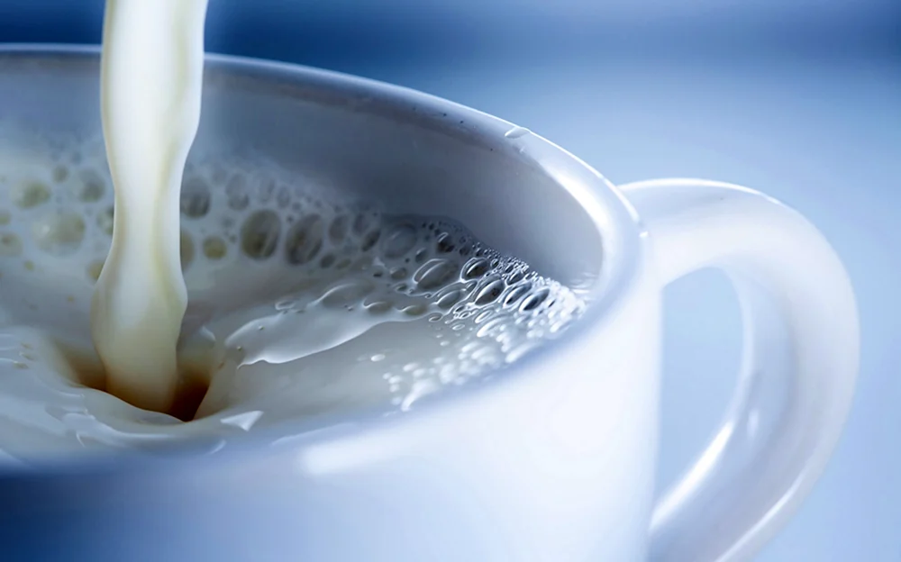 Проект по биологии Волшебный вкус жизни молоко