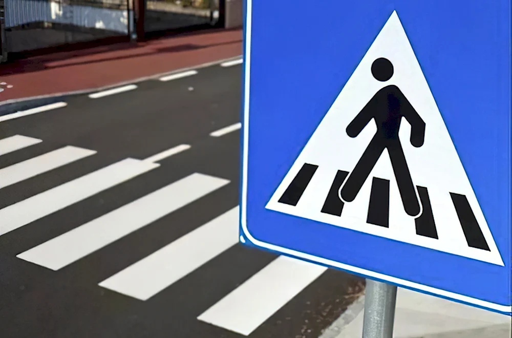 Профилактическое мероприятие пешеход пешеходный переход