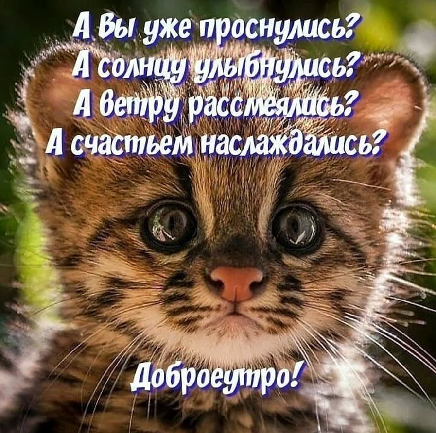 Проснулись УЛЫБНУЛИСЬ доброе утро