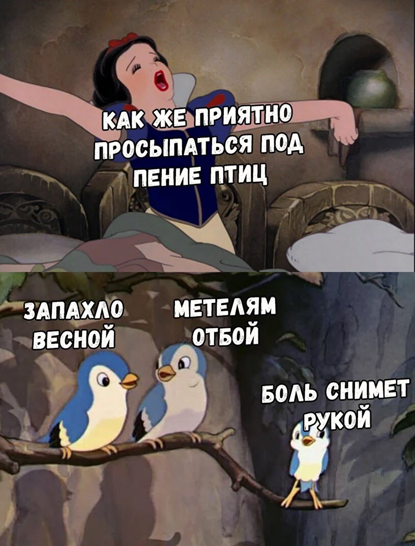 Проснуться под пение птиц