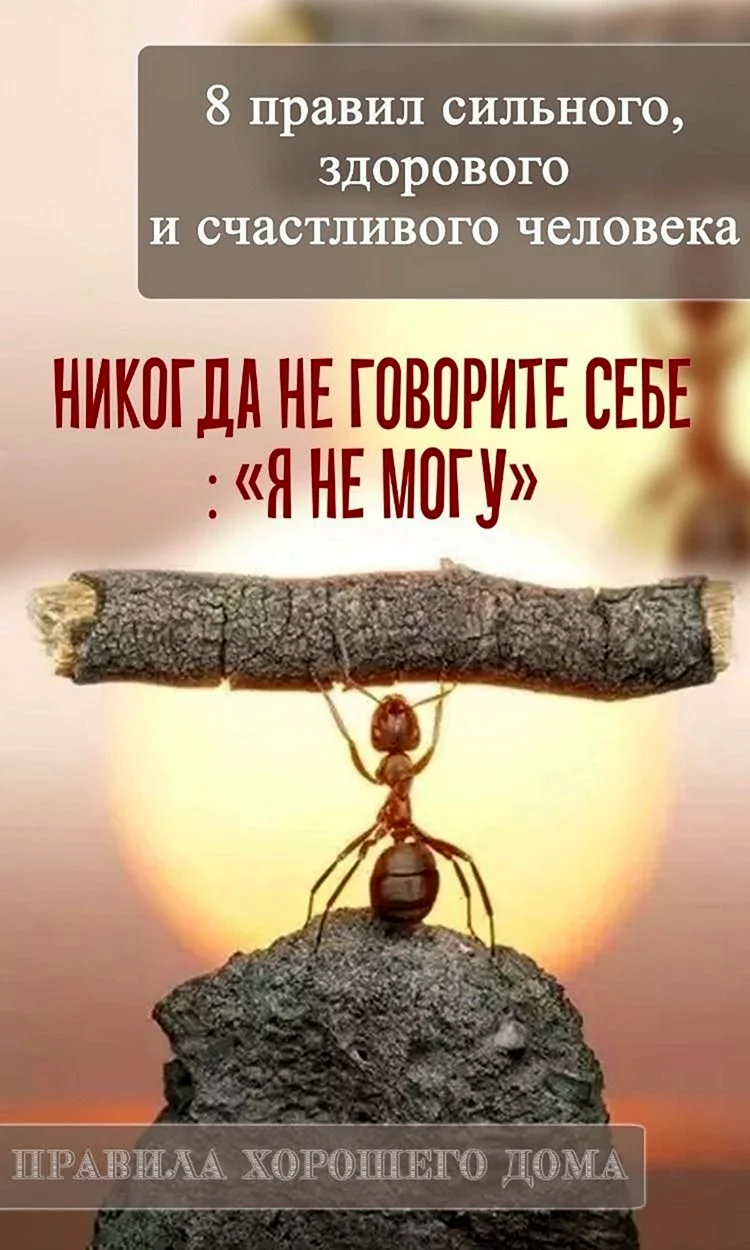 Психология цитаты