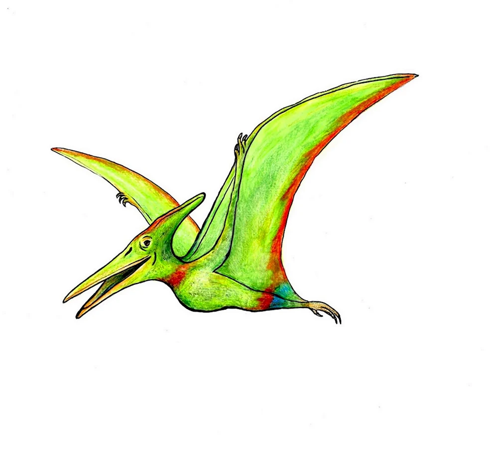 Птеранодон динозавр