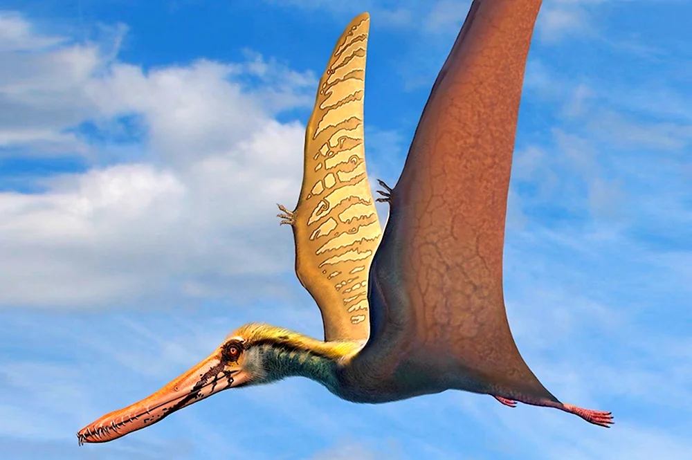 Птерозавр Птеранодон