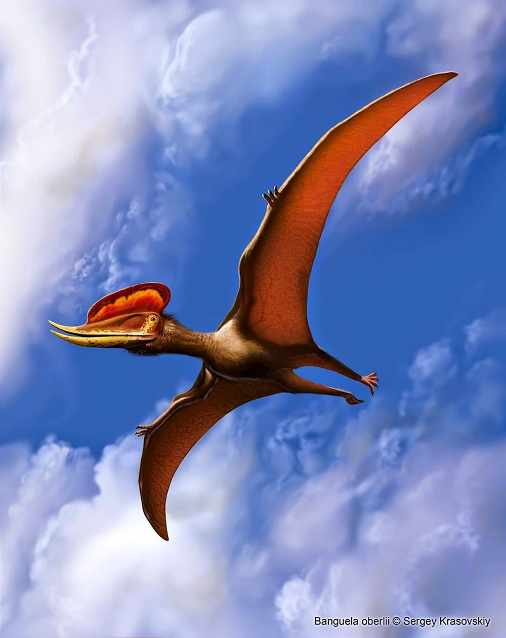 Птерозавр Птеранодон