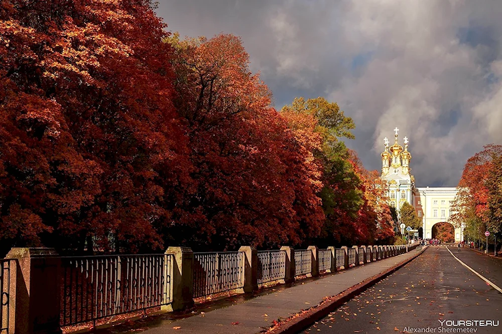 Пушкин Санкт-Петербург осенью