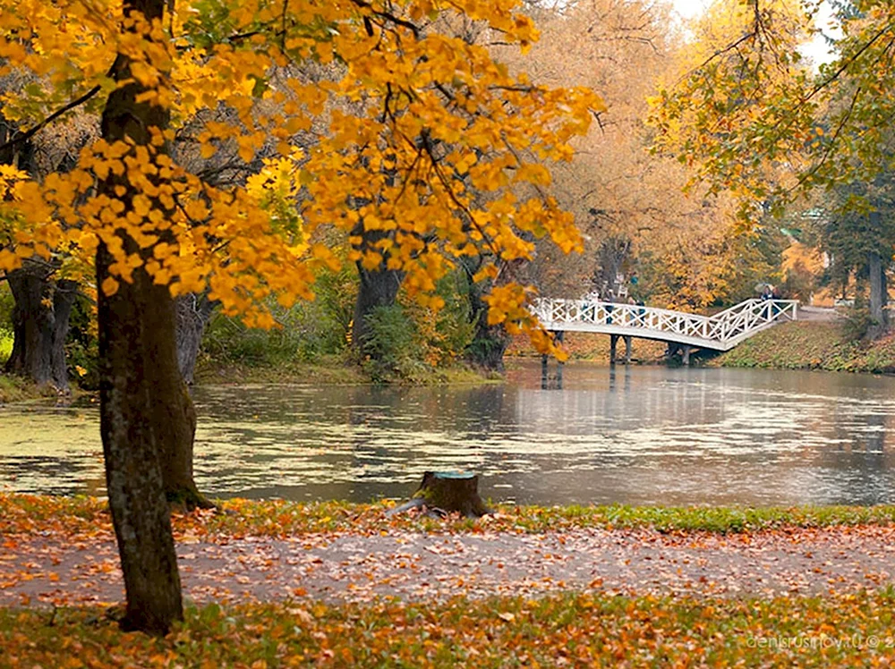 Пушкинская осень в Болдино