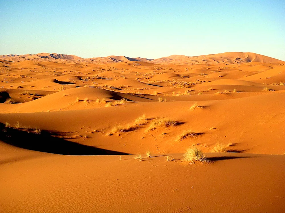 Пустыни сахара Ливийская Намиб Калахари.