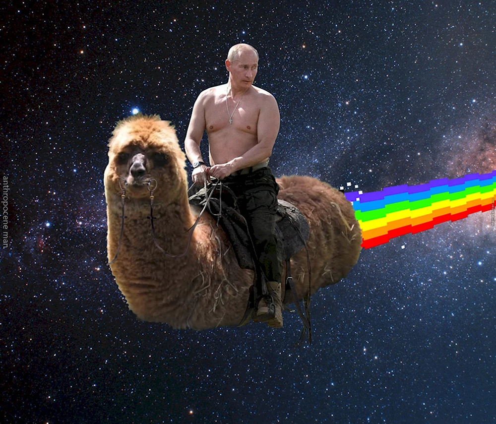 Путин верхом на животном