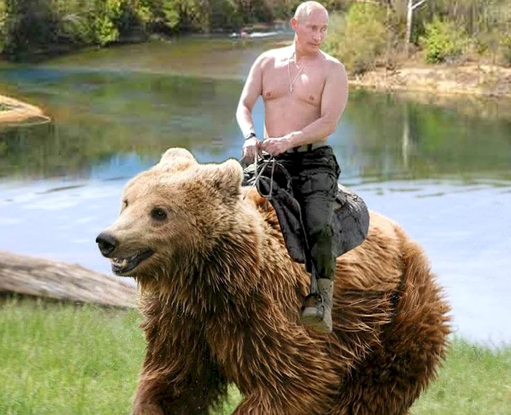 Путин Владимир Владимирович на медведе