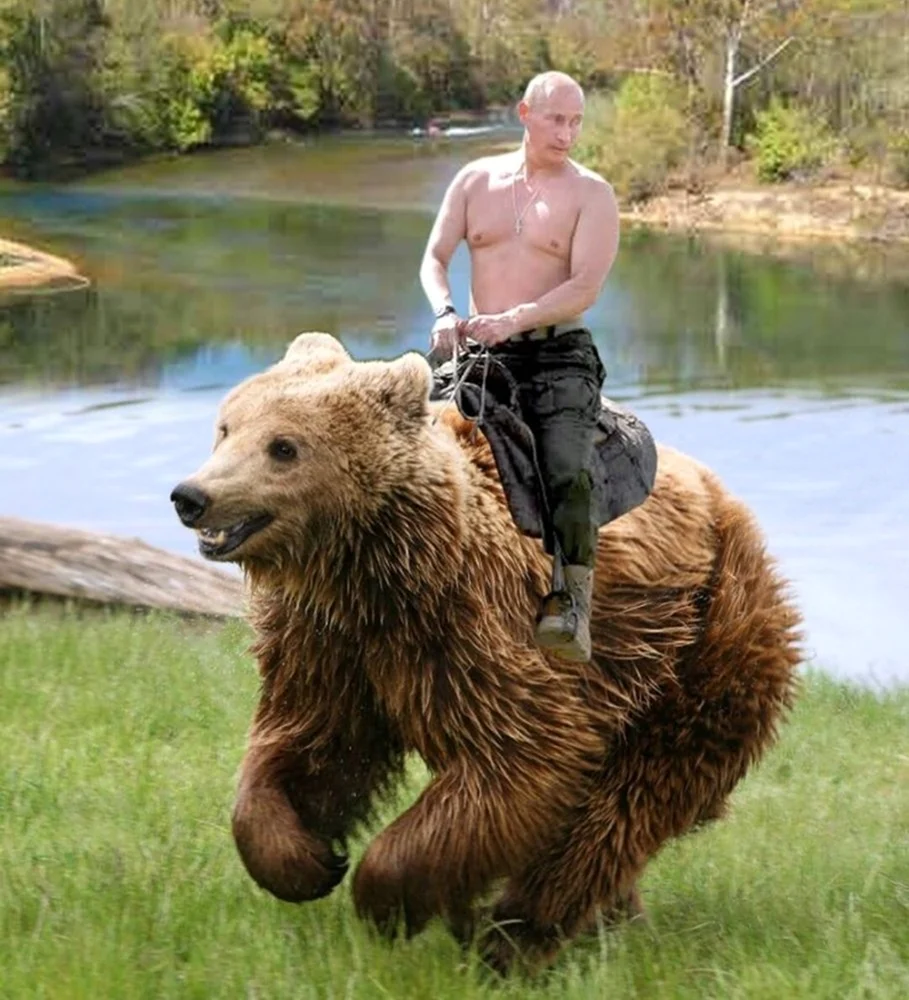 Путин Владимир Владимирович на медведе