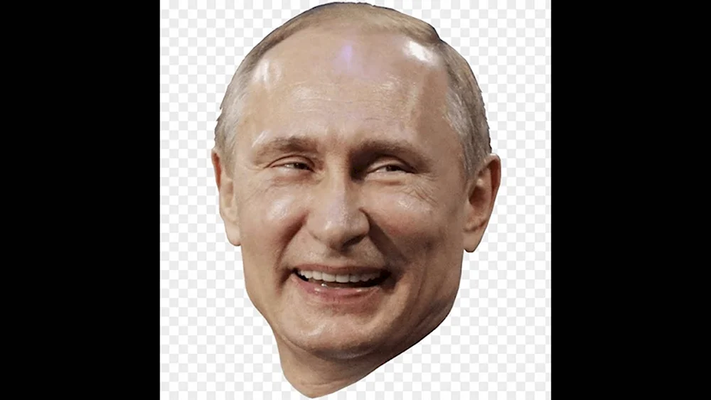 Путин Владимир Владимирович PNJ