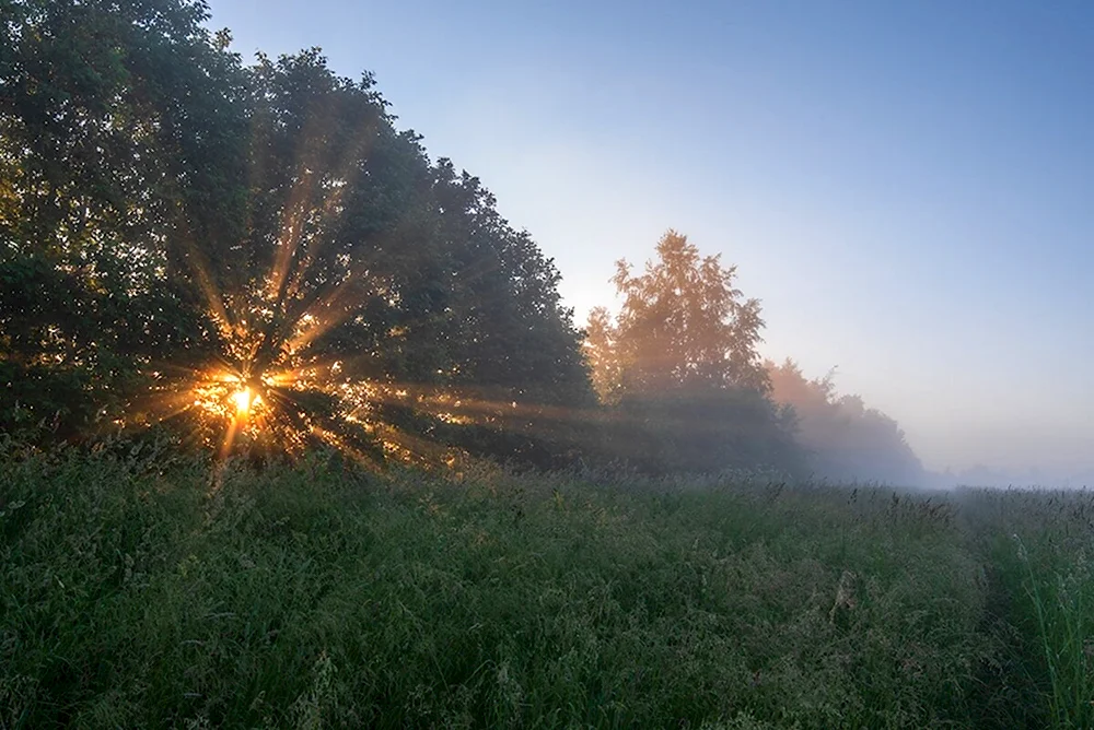 Раннее утро