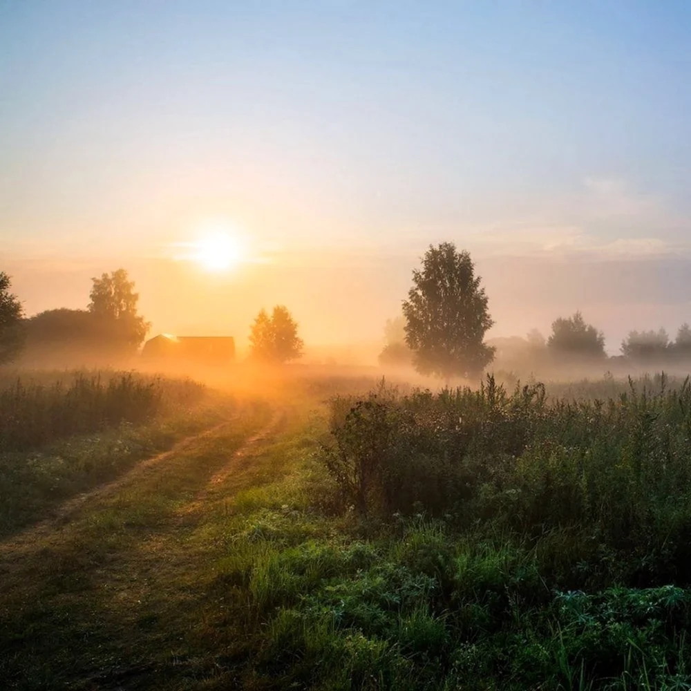 Раннее утро в деревне