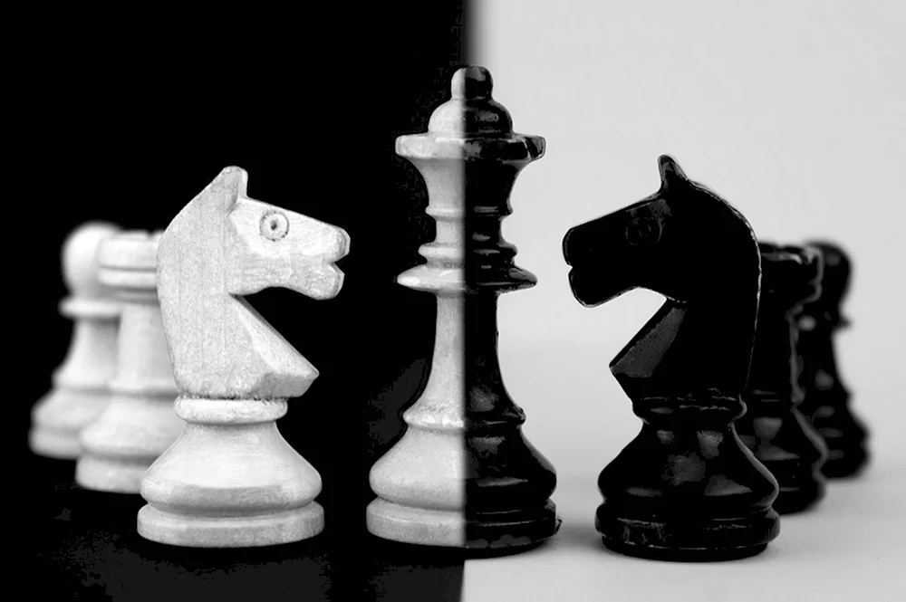 Рапид шахматы