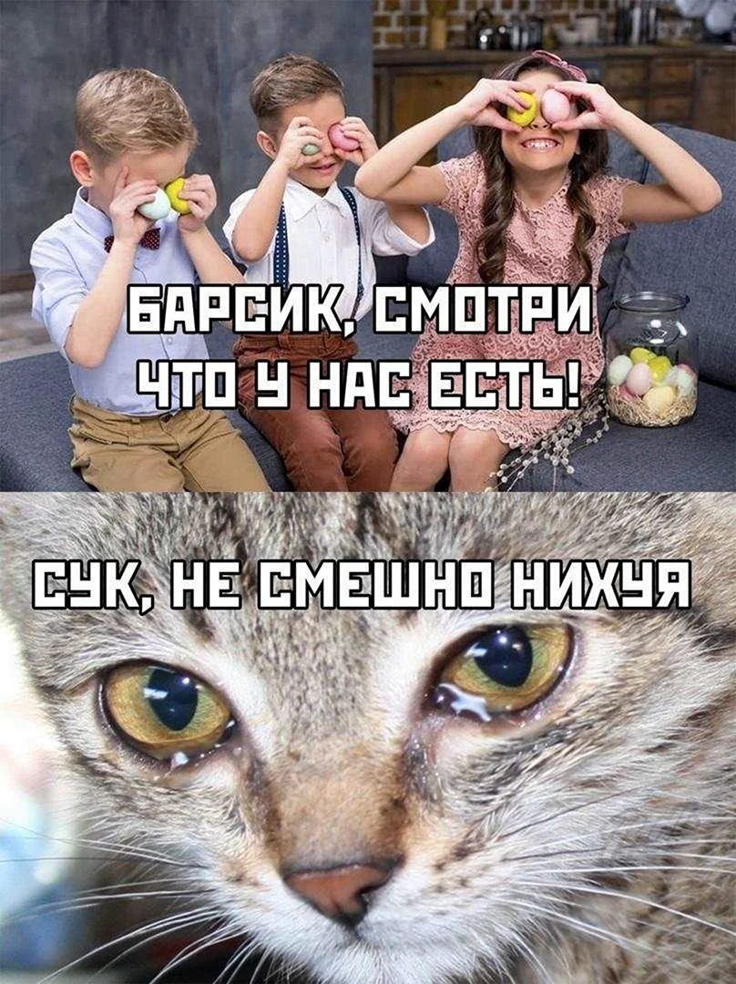 Разные мемы