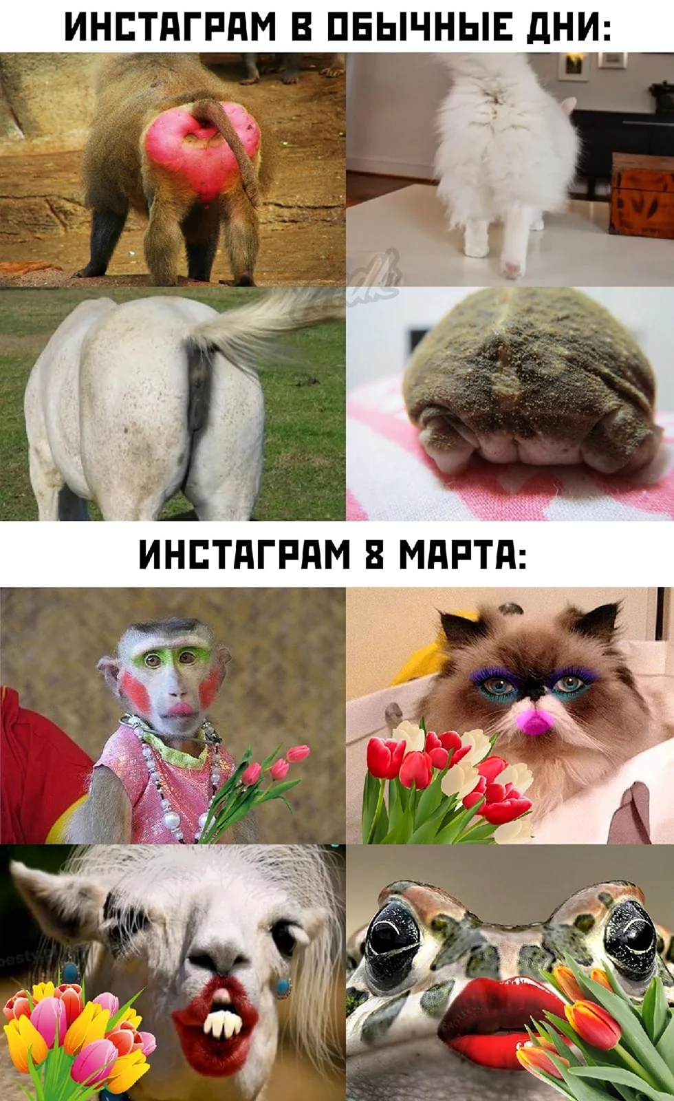 Разные мемы