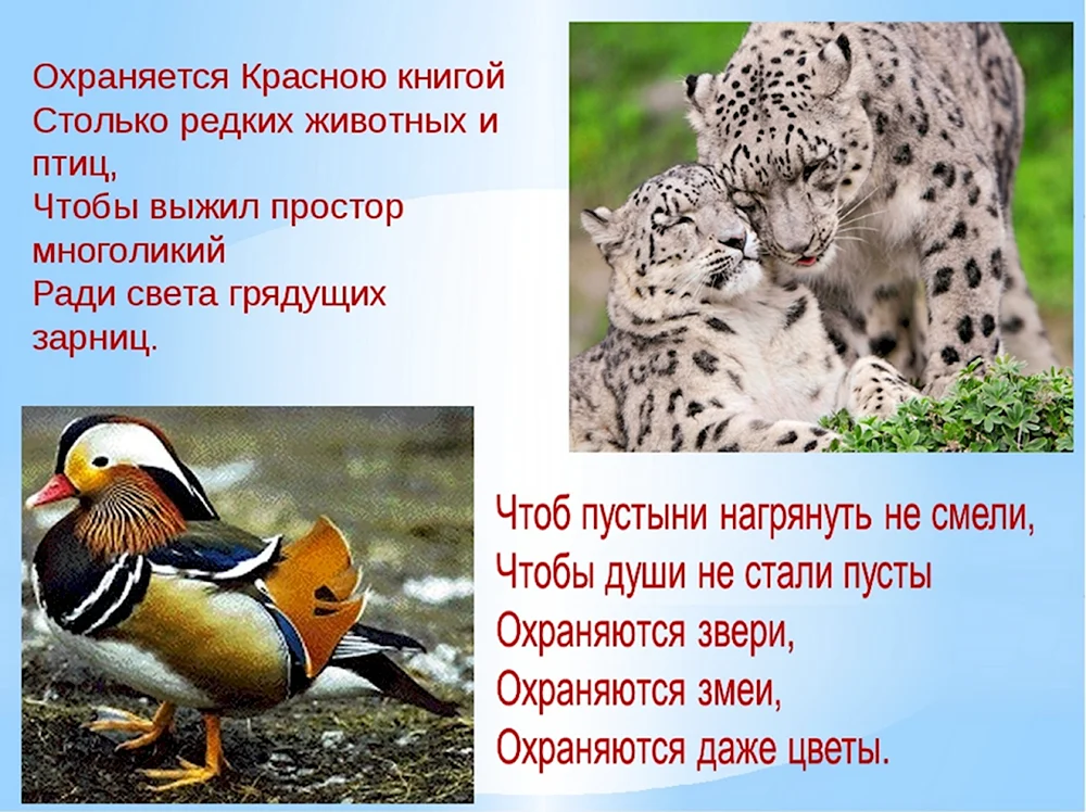 Редкие животные из красной книги России