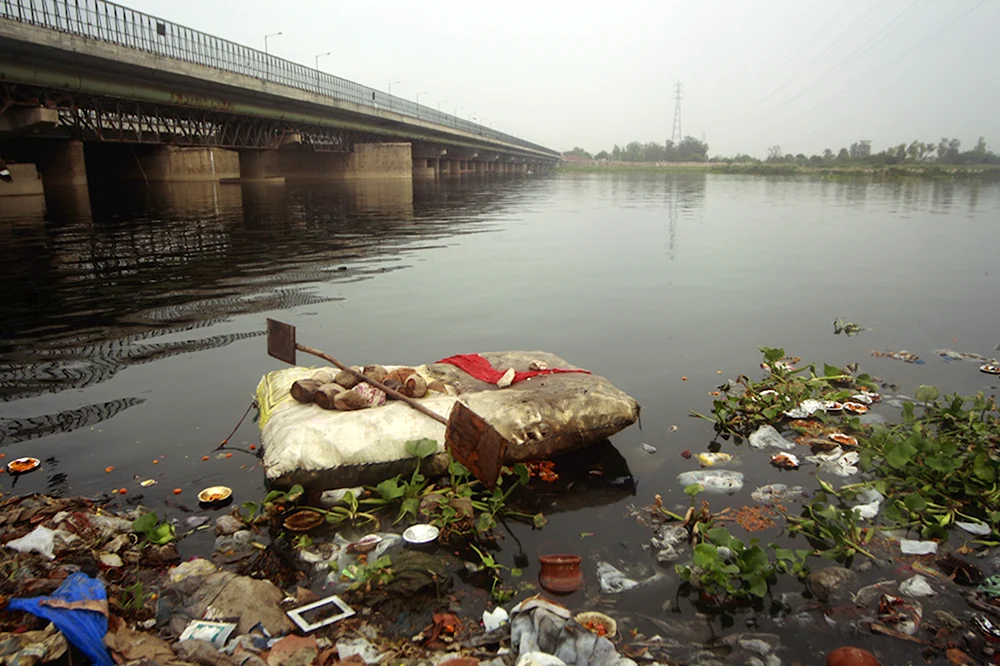 Река Эльба загрязнение