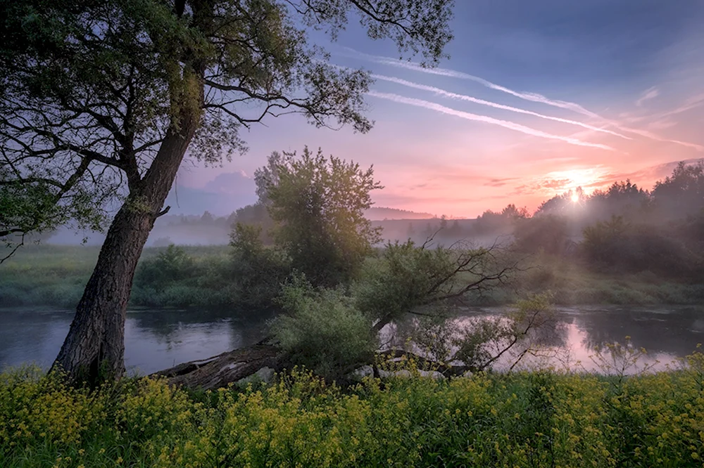 Река Истра на берегах